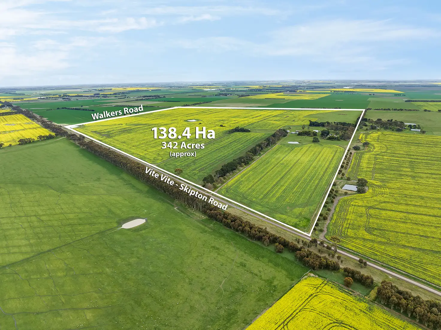 Main view of Homely rural property listing, 1431 Vite Vite-Skipton Road, Vite Vite North VIC 3325