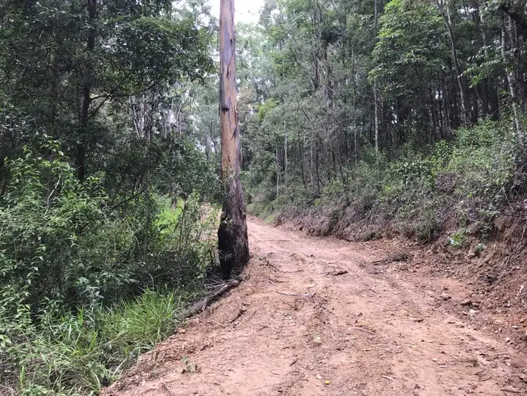Second view of Homely land listing, 534 Neill Road, Diamond Valley QLD 4553
