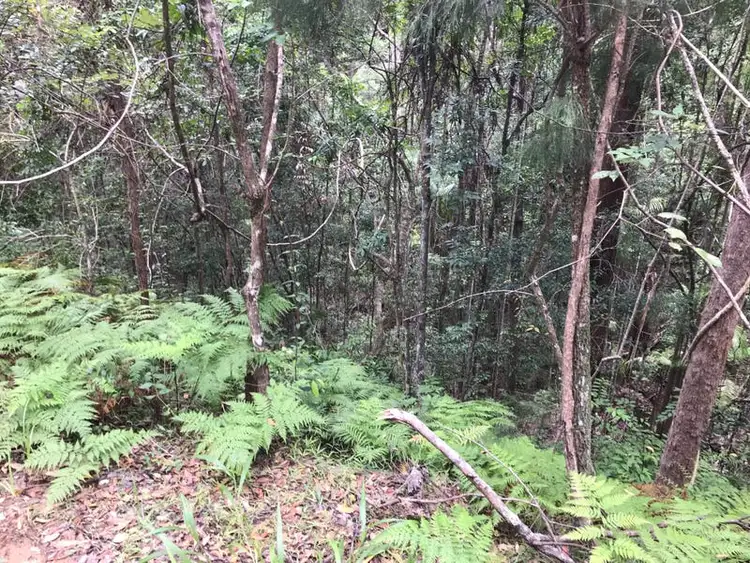 Sixth view of Homely land listing, 534 Neill Road, Diamond Valley QLD 4553