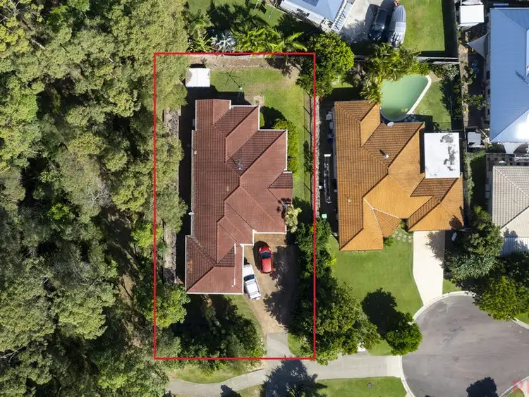 Main view of Homely house listing, 6 Cabbage Palm Court, Little Mountain QLD 4551