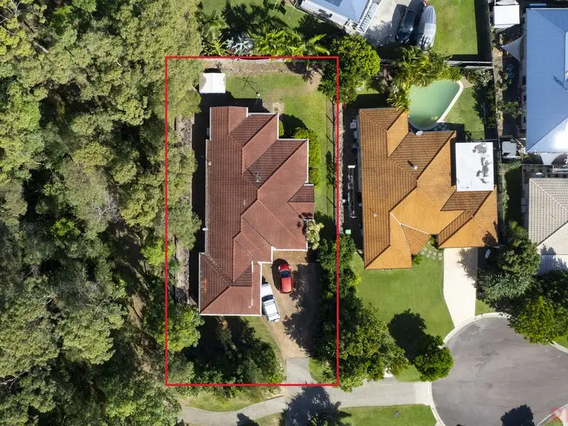 Main view of Homely house listing, 6 Cabbage Palm Court, Little Mountain QLD 4551