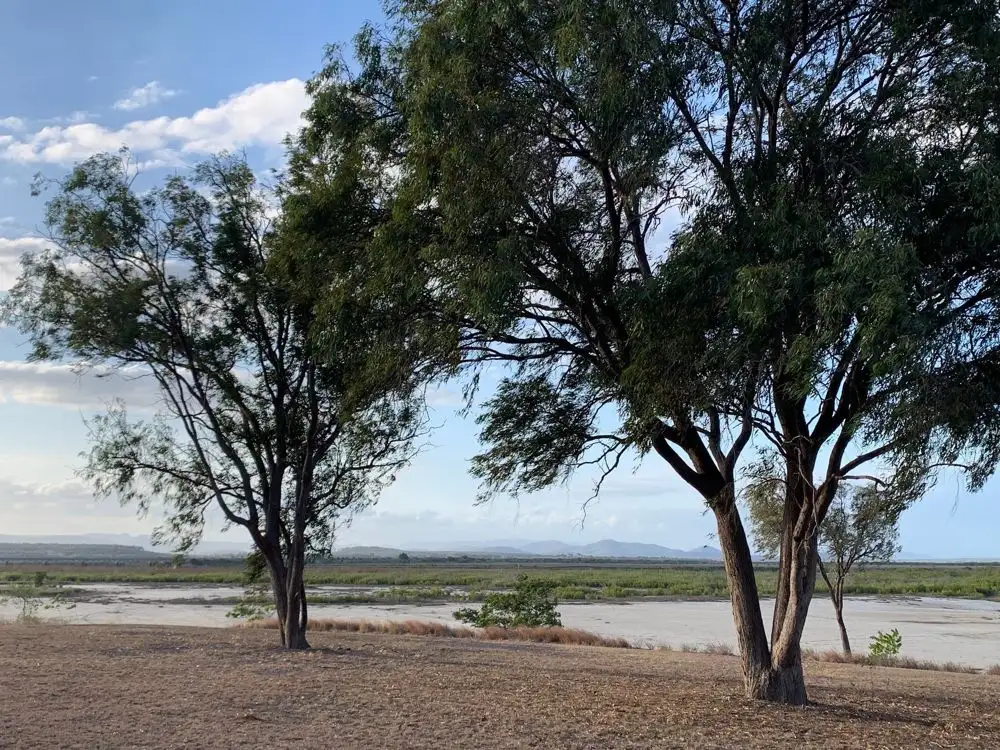 Main view of Homely house listing, 41 Arthur Street / 7 Macartney Street, St Lawrence QLD 4707