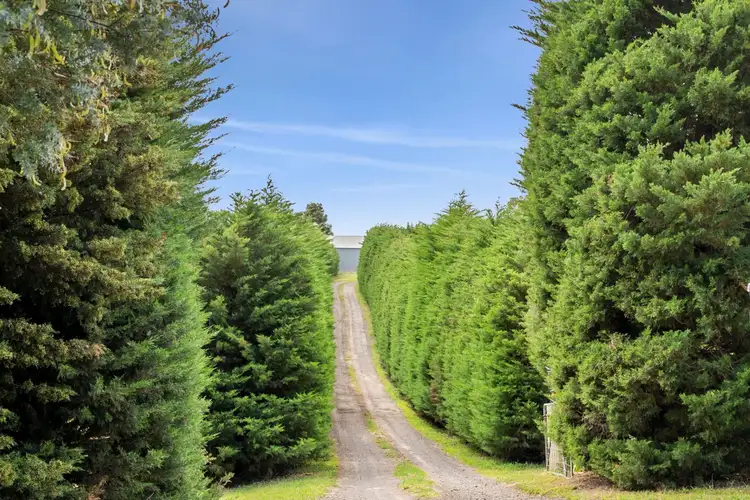 Fourth view of Homely rural property listing, 840 Barrabool Road, Barrabool VIC 3221