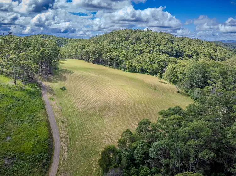 423 Padmans Road, Elands NSW 2429