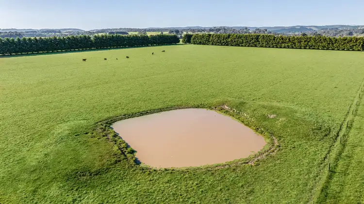 Seventh view of Homely rural property listing, 165 Barholme Lane, Pennyroyal VIC 3235