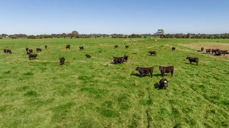 Second view of Homely rural property listing, 1265 Birregurra-Forrest Road, Barwon Downs VIC 3243