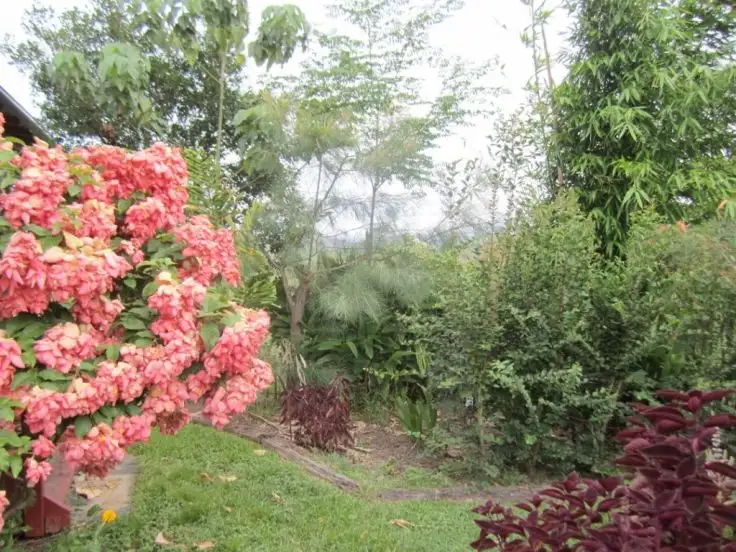 Seventh view of Homely house listing, 315 MIDGE POINT ROAD, Bloomsbury QLD 4799