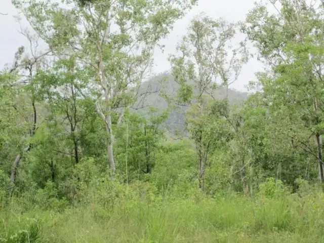 Seventh view of Homely land listing, 4 LELONA DRIVE, Bloomsbury QLD 4799