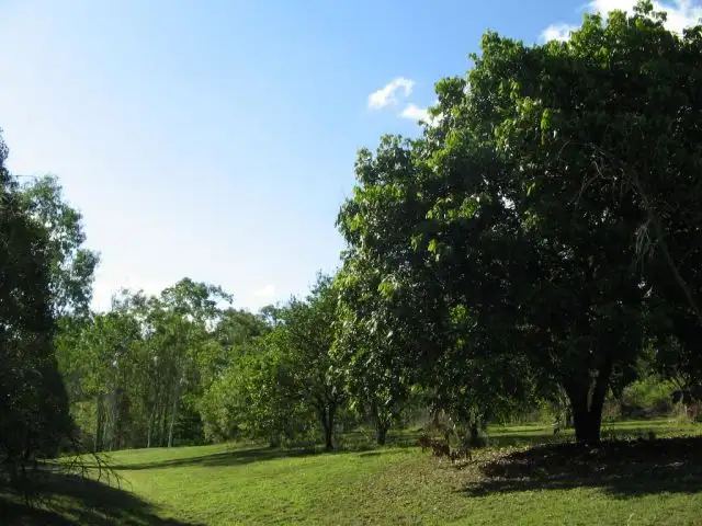 Third view of Homely rural property listing, 33 ASHTON ROAD, Gregory River QLD 4800