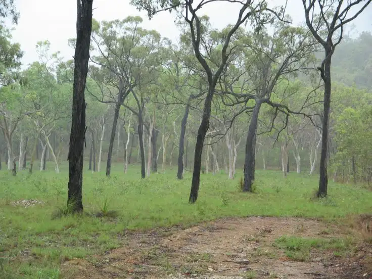 Third view of Homely land listing, LOT 9 O'FLYNN CRESCENT, Midge Point QLD 4799