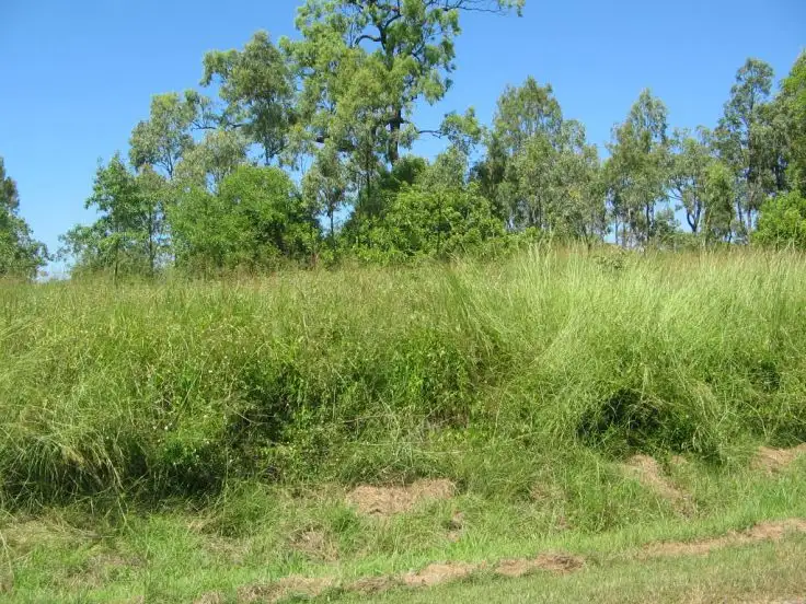 Fifth view of Homely land listing, LOT 515 WHITSUNDAY DRIVE, Bloomsbury QLD 4799