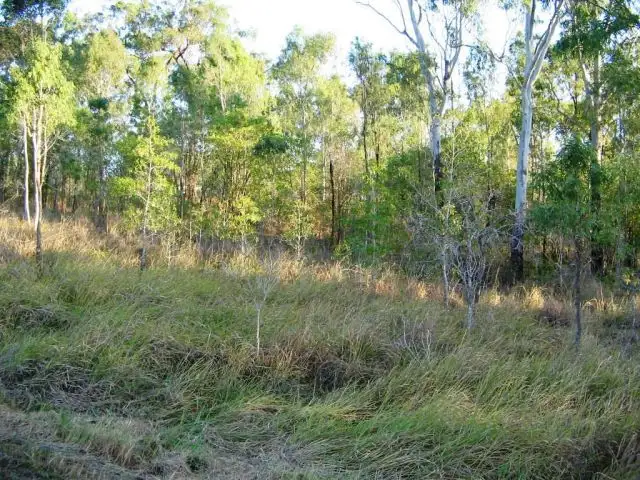 Third view of Homely land listing, 122 WHITSUNDAY DRIVE BLOOMSBURY 4799, Whitsundays QLD 4802