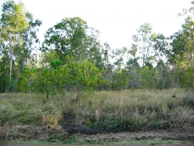 Main view of Homely land listing, 121 WHITSUNDAY DRIVE BLOOMSBURY 4799, Whitsundays QLD 4802