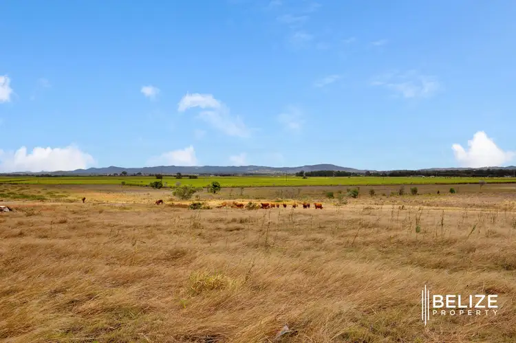 Second view of Homely house listing, 277 Zipfs Road, Alberton QLD 4207