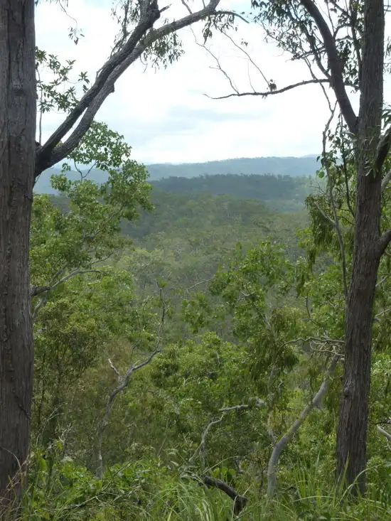Second view of Homely land listing, Lot 123 Two Chain Road, Koah QLD 4881