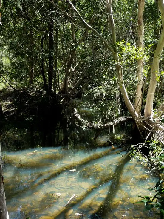 Third view of Homely land listing, Lot 123 Two Chain Road, Koah QLD 4881