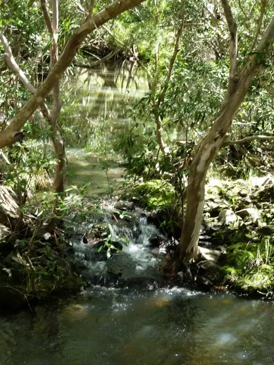 Fourth view of Homely land listing, Lot 123 Two Chain Road, Koah QLD 4881