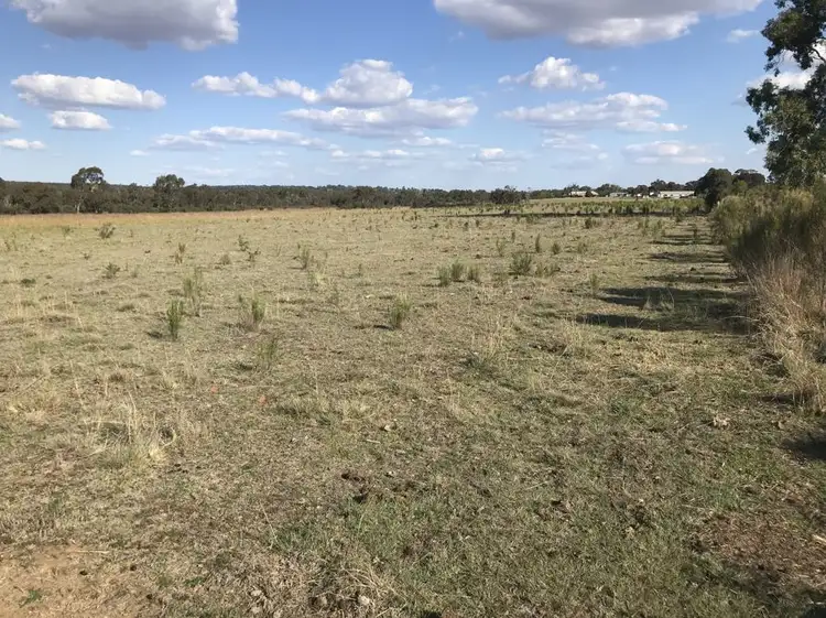 Seventh view of Homely rural property listing, 16910 Oxley Highway, Coonabarabran NSW 2357