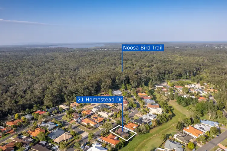 Main view of Homely house listing, 21 Homestead Drive, Tewantin QLD 4565