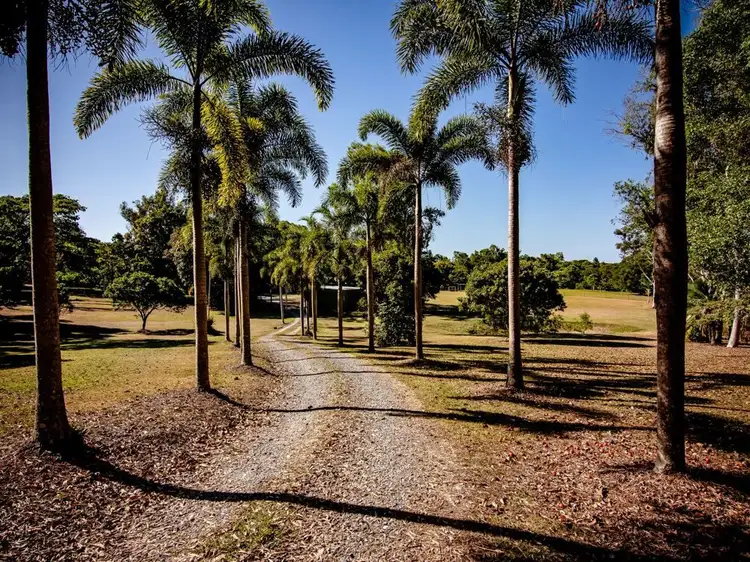 Second view of Homely rural property listing, 120 Highland Drive, Julatten QLD 4871