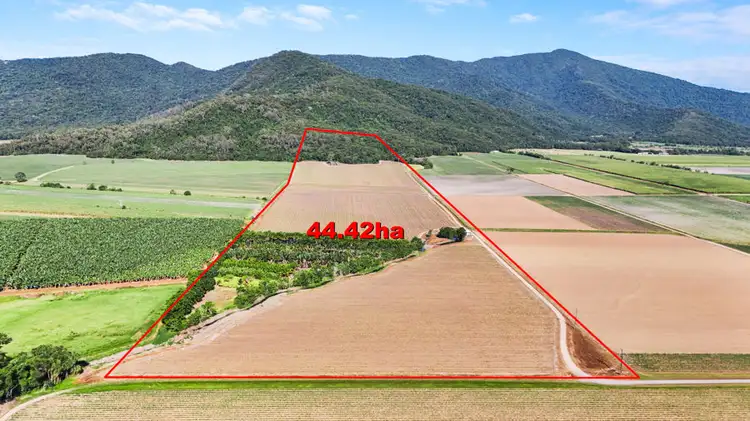 Lot 1 Morgan Road, Gordonvale QLD 4865