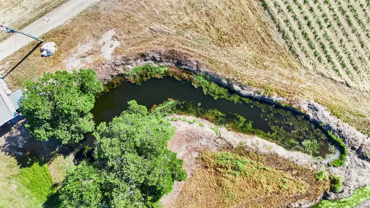 Sixth view of Homely land listing, Lot 1 Morgan Road, Gordonvale QLD 4865