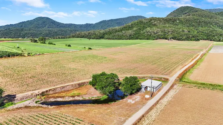 Seventh view of Homely land listing, Lot 1 Morgan Road, Gordonvale QLD 4865
