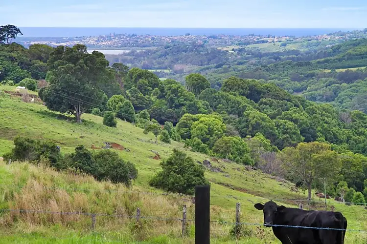 Second view of Homely rural property listing, 35 Cougal Road, Carool NSW 2486
