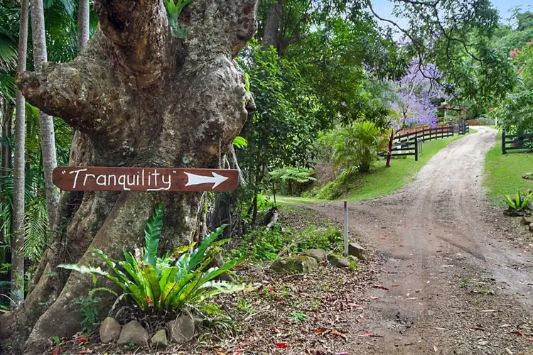 Sixth view of Homely rural property listing, 35 Cougal Road, Carool NSW 2486