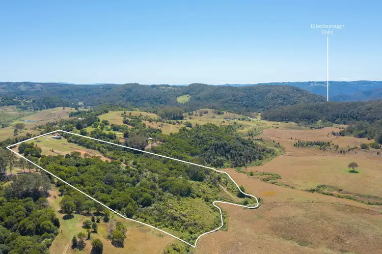 Fifth view of Homely rural property listing, 81 Beech Rd, Elands NSW 2429