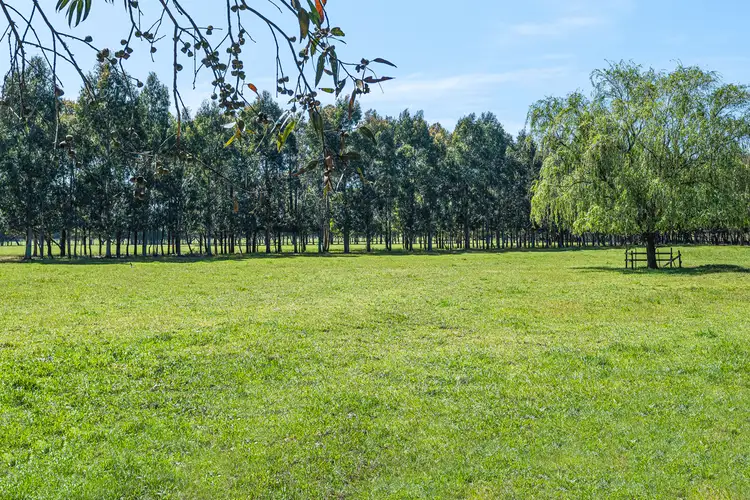 Fifth view of Homely rural property listing, 970 Birregurra-Deans Marsh Road, Murroon VIC 3243