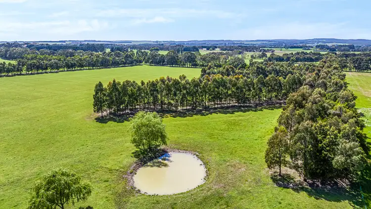 Sixth view of Homely rural property listing, 970 Birregurra-Deans Marsh Road, Murroon VIC 3243