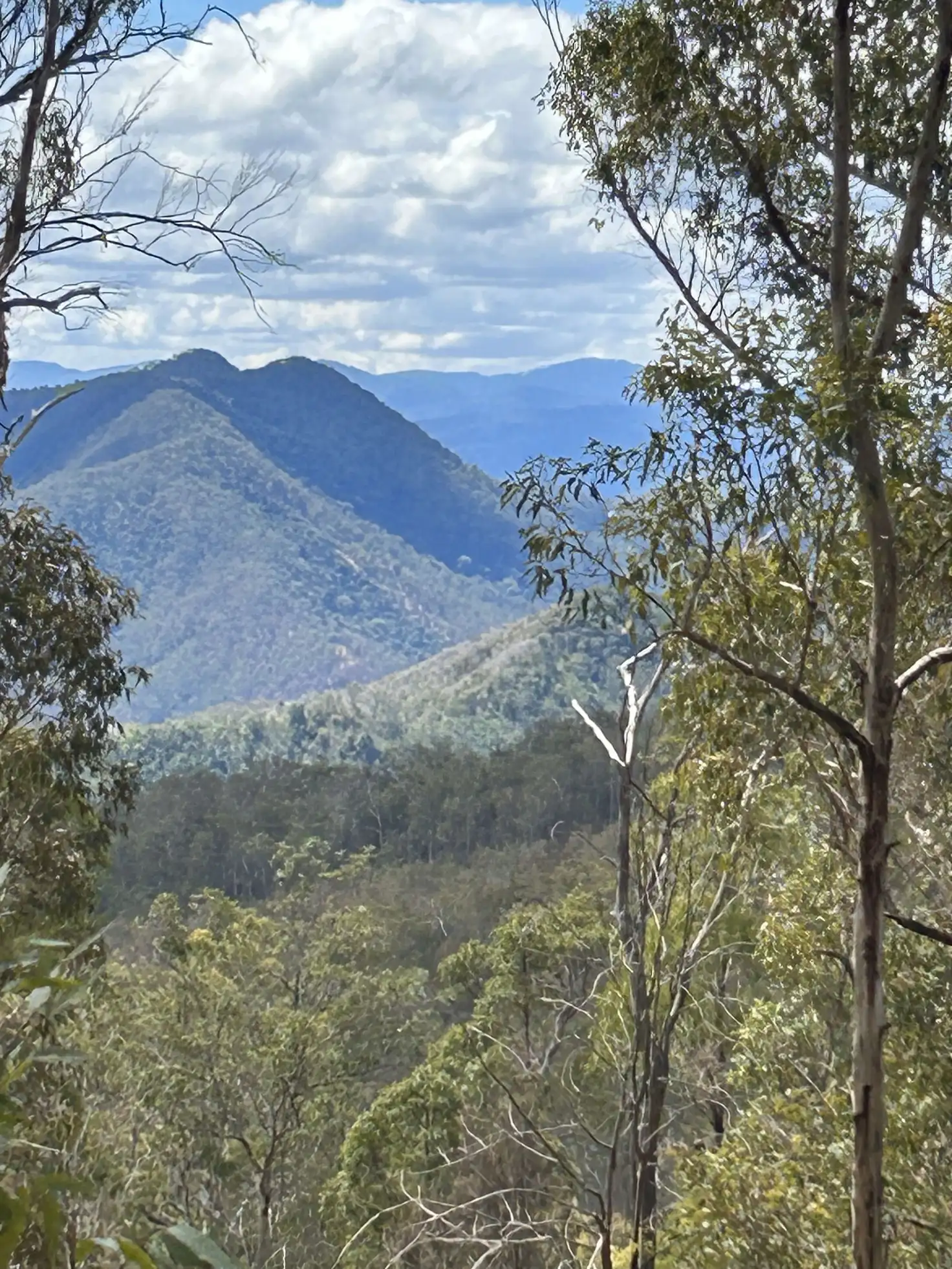 Main view of Homely rural property listing, Lot 52 Ralfes Trail, Debenham NSW 2446