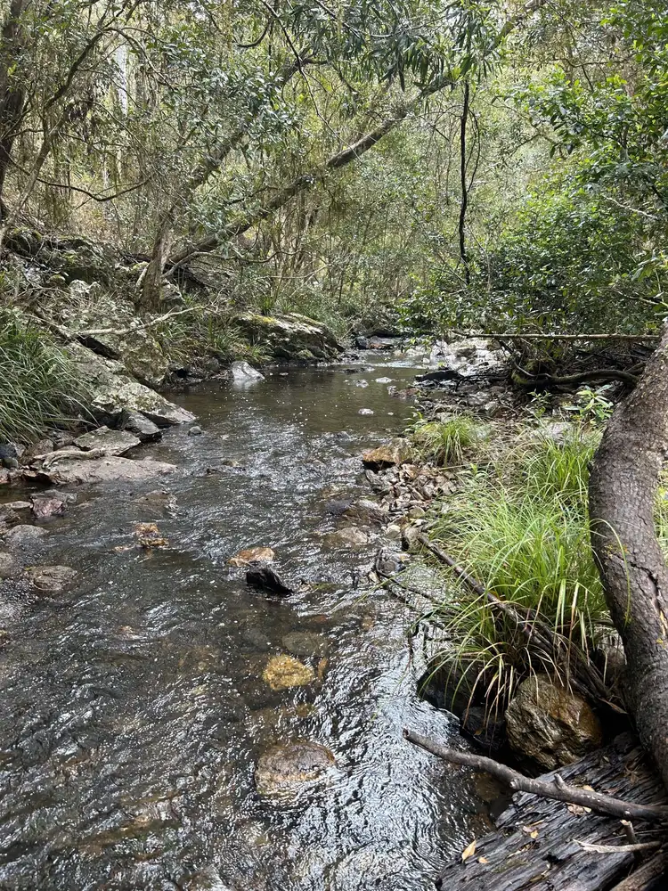 Fifth view of Homely rural property listing, Lot 52 Ralfes Trail, Debenham NSW 2446