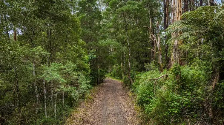 Main view of Homely rural property listing, 700 Old Beech Forest Road, Beech Forest VIC 3237
