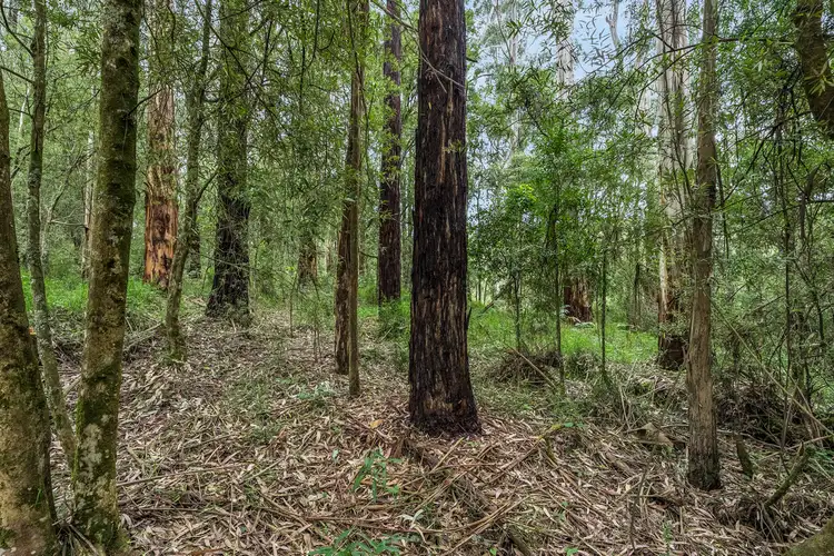 Fourth view of Homely rural property listing, 700 Old Beech Forest Road, Beech Forest VIC 3237