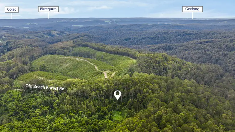 Sixth view of Homely rural property listing, 700 Old Beech Forest Road, Beech Forest VIC 3237