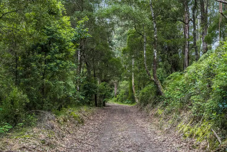 Seventh view of Homely rural property listing, 700 Old Beech Forest Road, Beech Forest VIC 3237