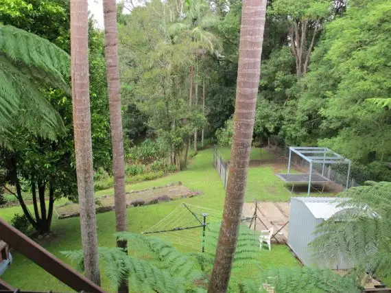 Seventh view of Homely house listing, 1117 Waterfall Way, Bellingen NSW 2454