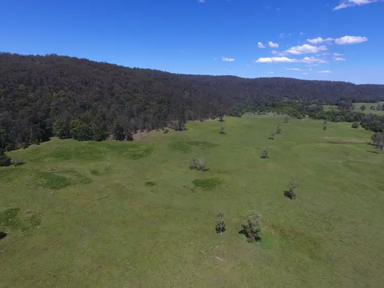 Fourth view of Homely rural property listing, 2374 Upper Mongogarie Road, Mongogarie NSW 2470