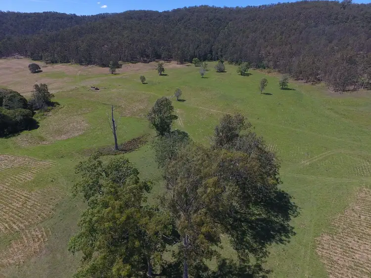 Seventh view of Homely rural property listing, 2374 Upper Mongogarie Road, Mongogarie NSW 2470