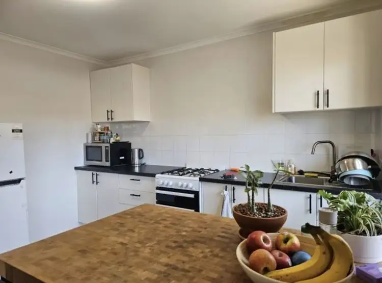 Third view of Homely unit listing, 3 173 School Rd, Yeronga QLD 4104