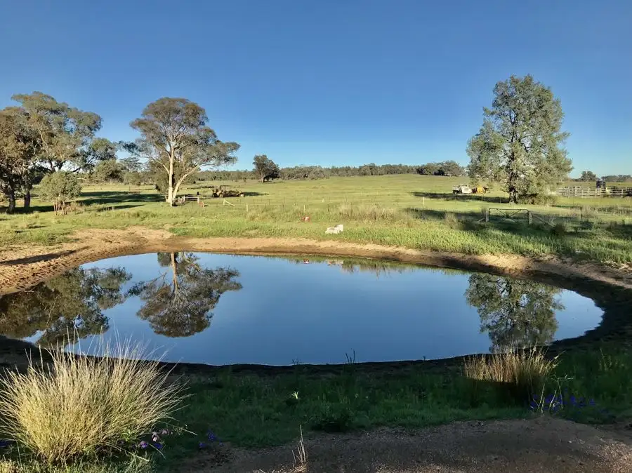 Main view of Homely rural property listing, 72 Bourkes and Halls road, Binnaway NSW 2395