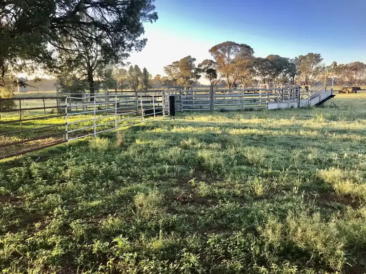 Third view of Homely rural property listing, 72 Bourkes and Halls road, Binnaway NSW 2395