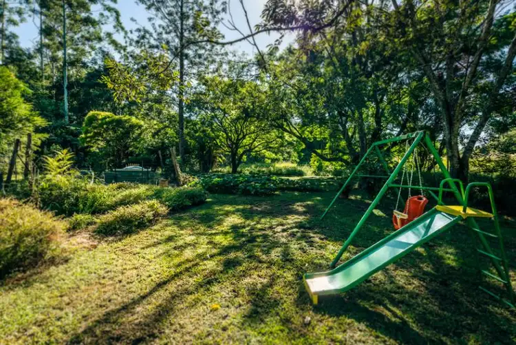 Third view of Homely rural property listing, 606 Darkwood Rd, Bellingen NSW 2454