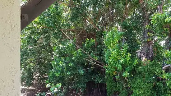 Second view of Homely unit listing, 1310 40 Clifton Road, Clifton Beach QLD 4879