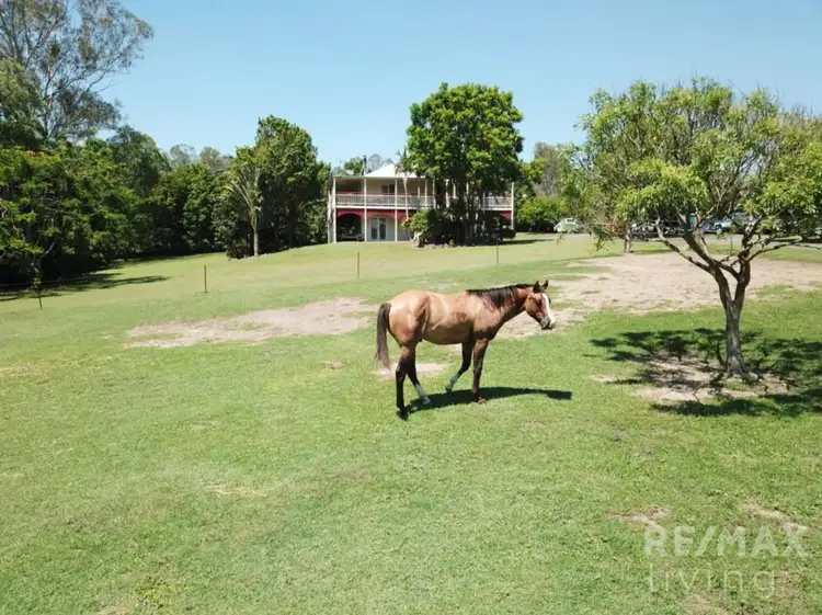 Main view of Homely house listing, 1587 Maleny-Kenilworth Road, Conondale QLD 4552