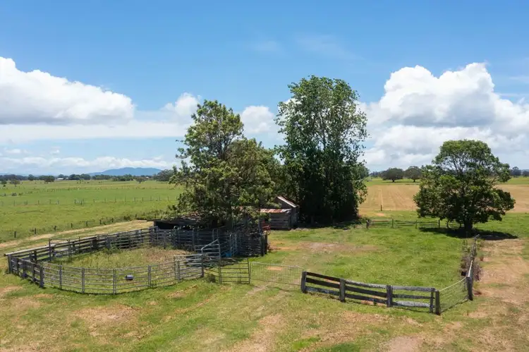 Sixth view of Homely rural property listing, 51 Hat Head Road, Kinchela NSW 2440
