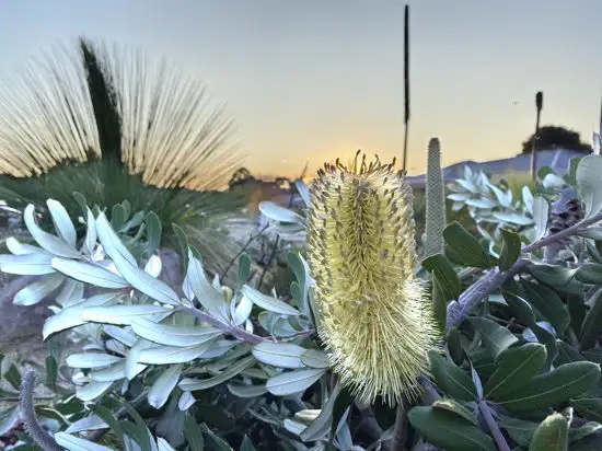 Sixth view of Homely land listing, lot 414 Curlew Circuit, Wallan VIC 3756