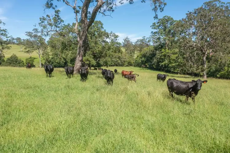 Sixth view of Homely rural property listing, 176 McMillans Road, Ellenborough NSW 2446
